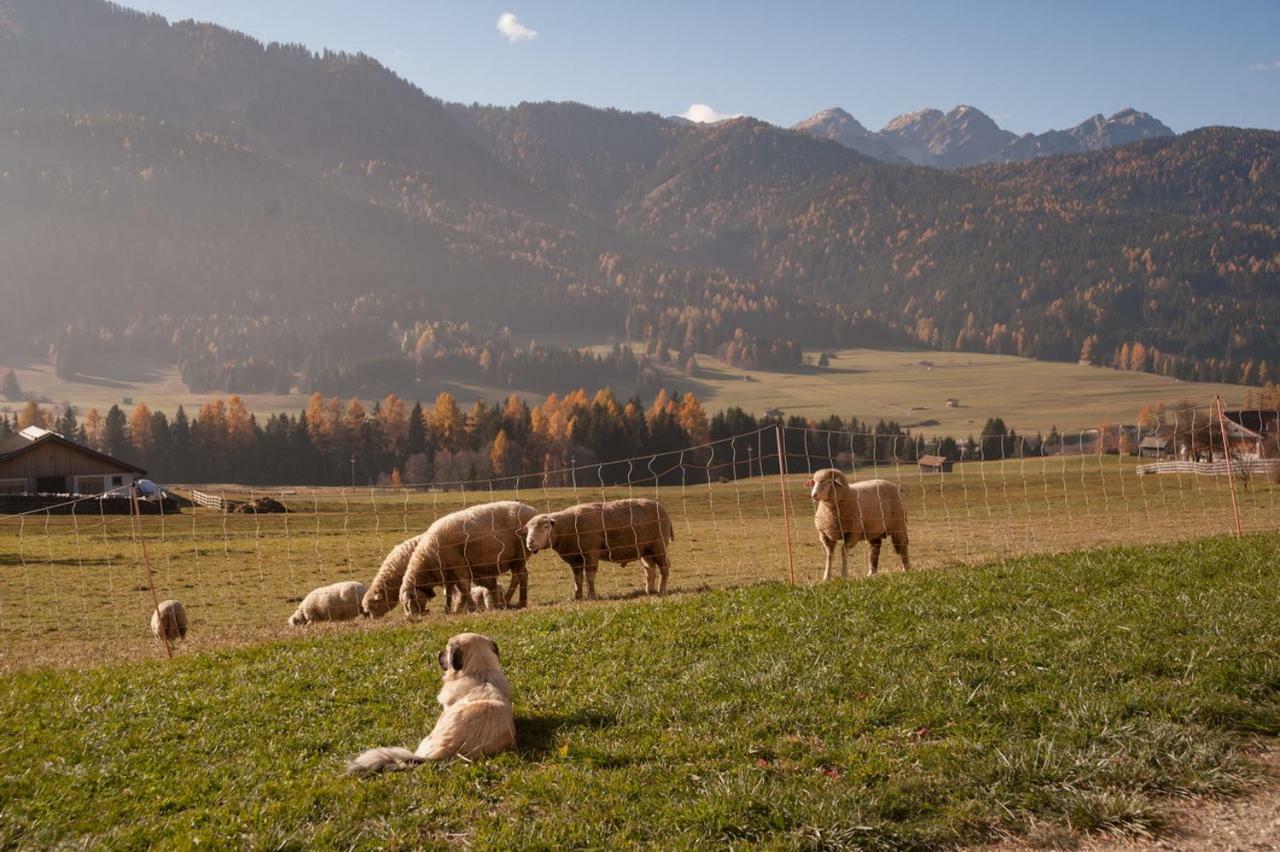 Vila Peterlan Hof Toblach Exteriér fotografie